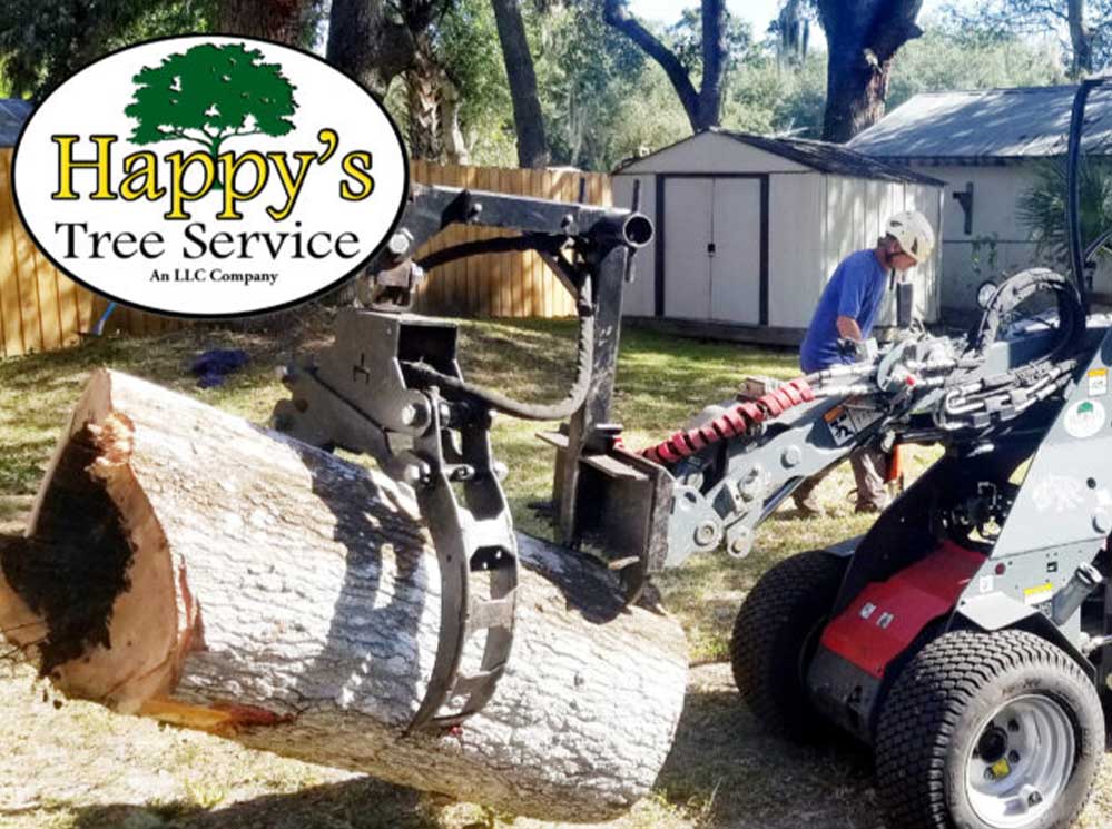 Best Tree Service Pinellas County FL