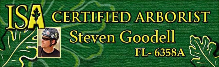 Isa Certified Arborist - Steven Goodell