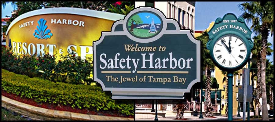 Tree Service in Safety Harbor, FL
